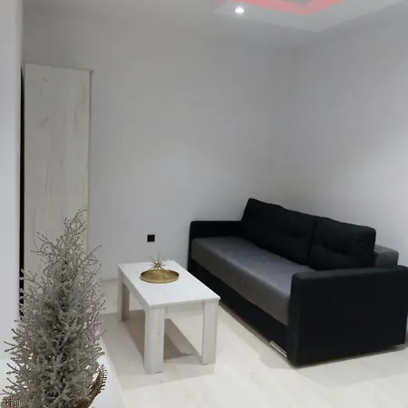 Aleksic U Centru Grada *