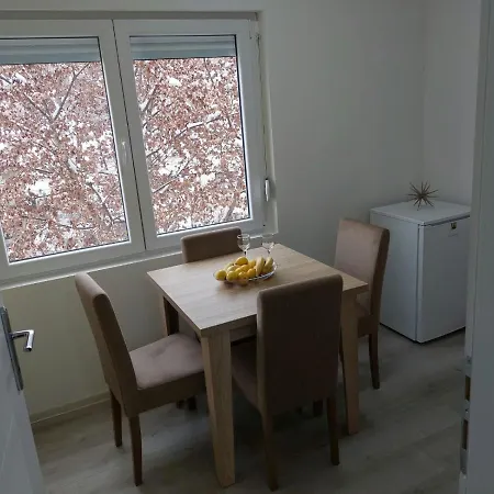 Aleksic U Centru Grada