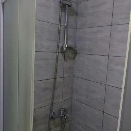 Aleksic U Centru Grada