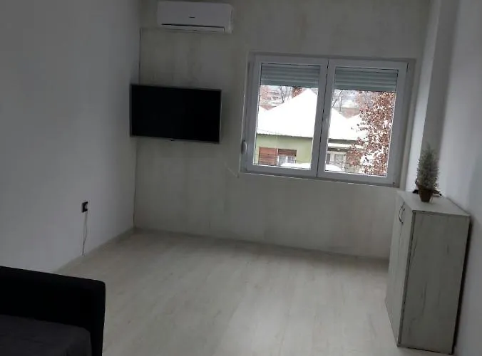 Aleksic U Centru Grada דירה