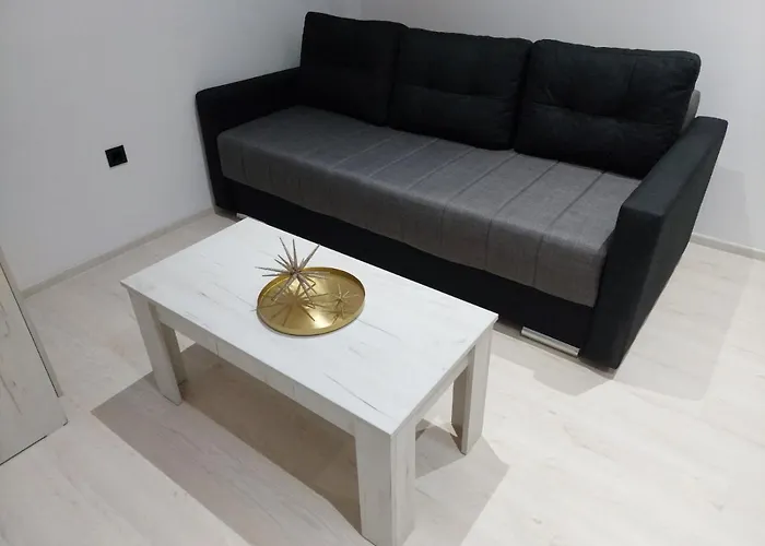 Aleksic U Centru Grada * Knjazevac