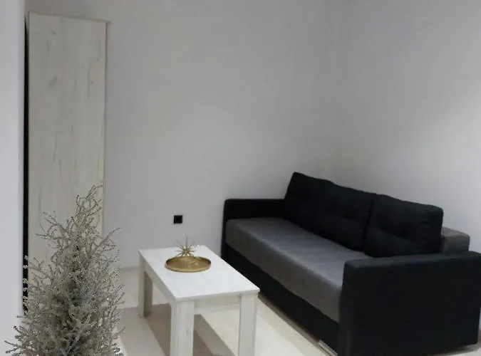 Aleksic U Centru Grada *