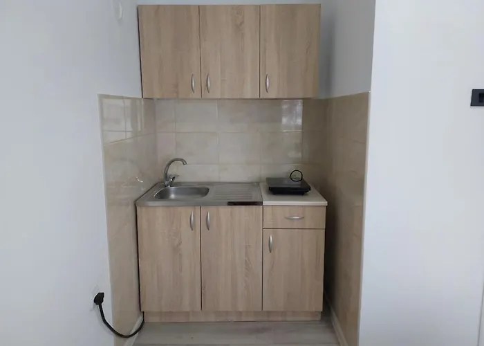 Aleksic U Centru Grada *