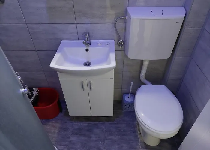 Aleksic U Centru Grada דירה Knjazevac