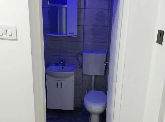 Aleksic U Centru Grada דירה Knjazevac