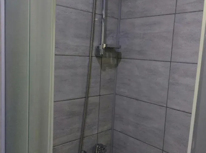 Aleksic U Centru Grada