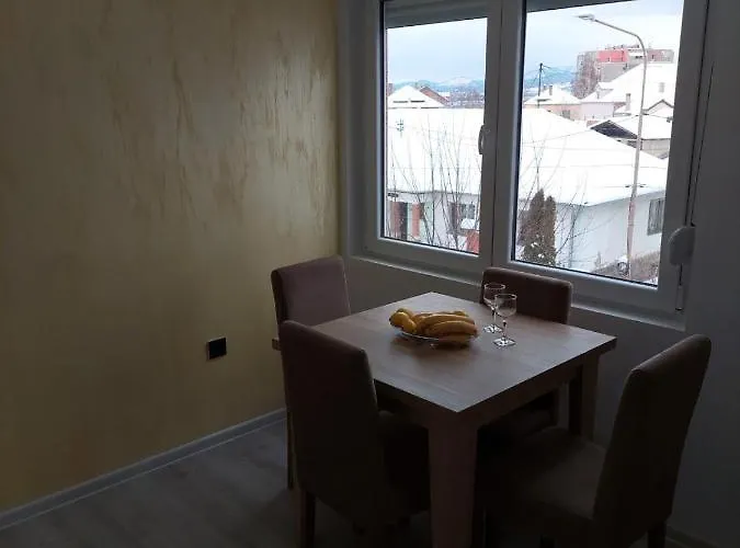 Aleksic U Centru Grada Knjazevac