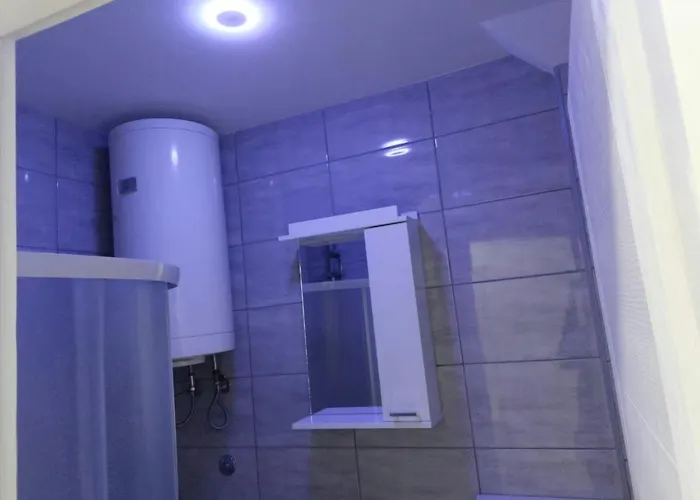 Aleksic U Centru Grada דירה Knjazevac